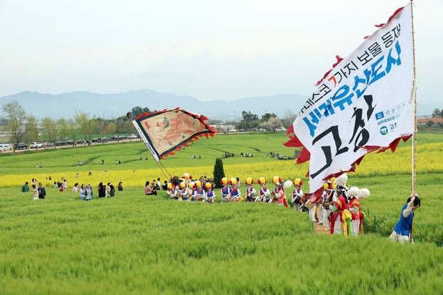 2026 고창 청보리밭 축제 개막. /사진제공=고창군