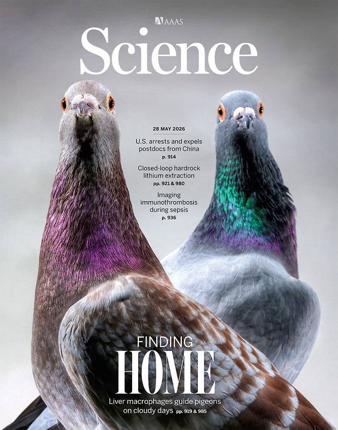 Science 제공