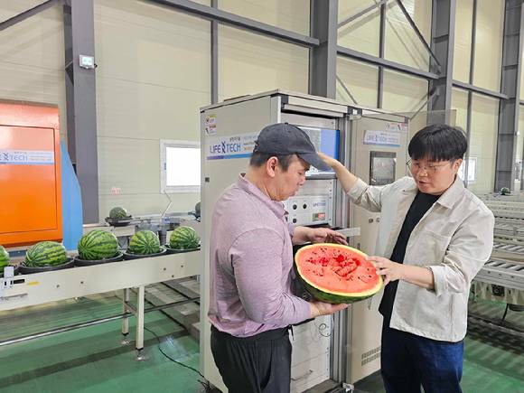 박청규 쿠팡 로켓프레시 품질보증팀 매니저(오른쪽)가 협력사와 함께 AI 과일선별기를 거친 수박을 교차 검증하고 있다. [사진=쿠팡]