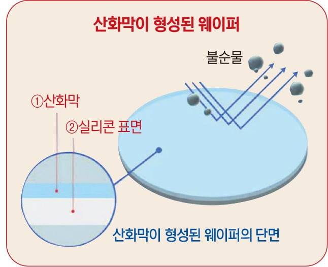 그래픽=박명규 기자
