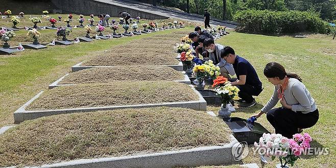 호국영령 기리며 묘역마다 태극기 (청주=연합뉴스) 청주도시공사 임직원과 직원들이 현충일을 앞둔 1일 청주시 목련공원 국가유공자 묘역에서 365기에 작은 태극기를 꽂고 묘비석과 주변 환경을 정비하고 있다. 2026.6.1 [청주도시공사 제공. 재판매 및 DB 금지] vodcast@yna.co.kr