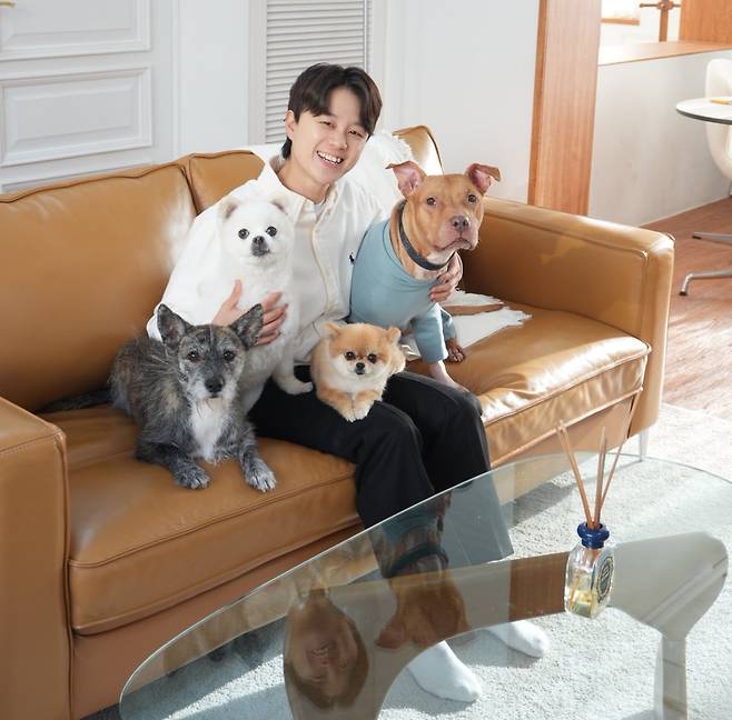 강슬기 씨는 두부 외에 리듬이, 제비, 룽지까지 총 4마리 반려견과 함께 하고 있다(강슬기 제공). ⓒ 뉴스1