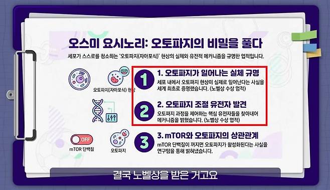 사진 유튜브 '닥터딩요' 영상 캡처 *재판매 및 DB 금지