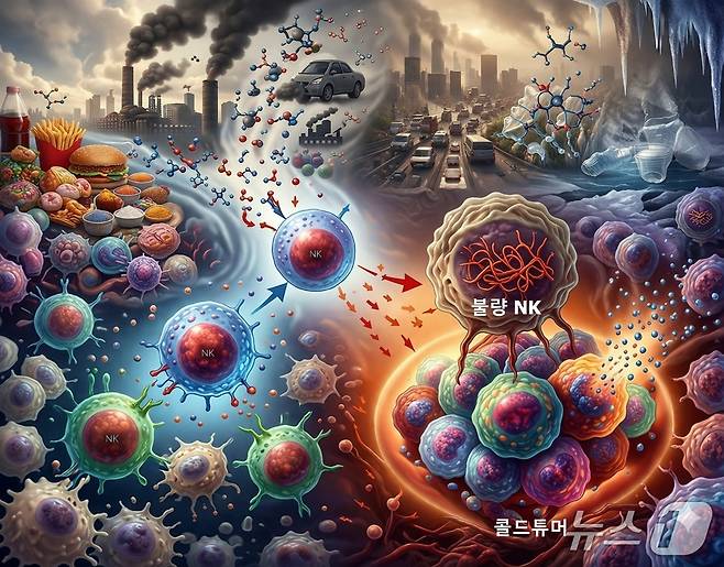 스트레스에 의한 NK세포의 변질 연구 이미지(AI 생성·부산대학교 문유석 교수 제공) /뉴스1