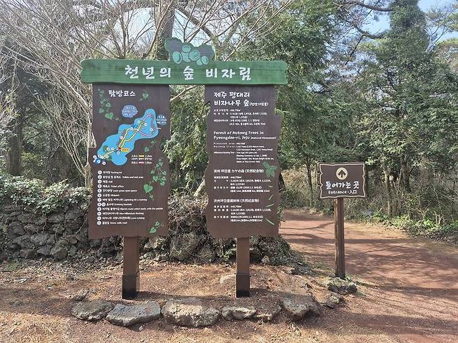 제주시 구좌읍 비자림 입구 안내판. 제주도 세계유산본부는 비자림 탐방로 식생 보호용 울타리를 기존 59m에서 86m로 늘려 천연목으로 재설치하고 탐방객 무단출입에 따른 숲 훼손을 줄일 계획이다. /사진=제주특별자치도 제공