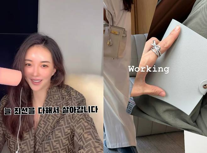 /사진=장미인애 SNS