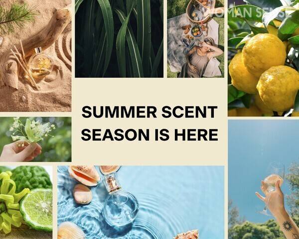 @perfumers_apprentice