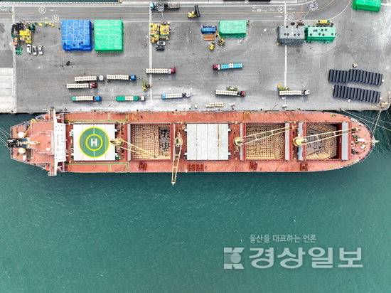 ▲ 울산항만공사가 8일 전국 항만 최초로 울산항 내 부두에 대한 '안벽수심 이격거리' 설정 기준 마련에 나선 가운데 벌크선이 울산본항 7부두에 접안해 있다. UPA 제공