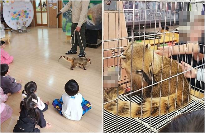 법 개정 이후에도 어린이집과 유치원을 중심으로 이동동물원 영업이 지속되고 있다(어웨어 제공). ⓒ 뉴스1
