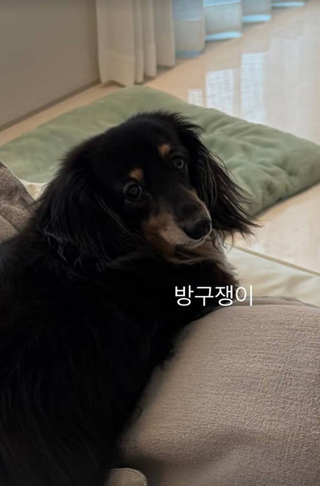 Amid reports that singer-actress Soo Young and actor Jung Kyung-ho have split after a 14-year relationship, attention is now turning to their recent social media posts.On the 9th, Soo Youngs agency, Saram Entertainment, stated, It is true that Soo Young and Jung Kyung-ho recently broke up. They have decided to remain good colleagues.Sooyoung and Jung Kyung-ho began dating in 2012. After confirming their relationship in 2014, they continued to date publicly and were beloved as one of the entertainment industrys longest-standing couples. As they marked their 14th year of dating publicly—a period during which marriage rumors had consistently surfaced—the news of their breakup has come as quite a shock to fans.In particular, now that the breakup has been made official, their recent social media posts are receiving renewed attention.Just a few hours before the breakup news broke on the 9th, Jung Kyung-ho posted a photo of his dog on his social media with the caption Farting Dog. The dog, named Ho-young, drew particular attention as the name is said to be derived from one character each from Jung Kyung-ho and Su-youngs names.Previously, in 2020, the couple had shown their affection for their dog by sharing a photo of a cake bearing the message, Ho-young ♥ Ae-bong, lets stay together forever. Posts filled with memories of the couples long-term relationship are also receiving renewed attention.Soo-young also posted several photos of her daily life on her social media on the 8th, the day before news of their breakup broke. As these posts were released just before the breakup was made official, they naturally drew the attention of netizens.In the photos, Soo-young is seen enjoying a relaxed daily life with a bright smile. She showcased her unchanging beauty, ranging from casual T-shirt outfits to elegant looks in black dresses.Fans who saw the photos reacted with comments such as, Its even more surprising because theyve been together for so long, I didnt see this coming at all, and I wish them both the best in their future endeavors.Meanwhile, after going public with their relationship, Soo Young and Jung Kyung-ho established themselves as one of the entertainment industrys longest-lasting couples, but they recently ended their relationship and have decided to go their separate ways.Photo = DB, respective accounts