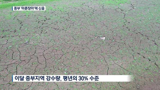 2019년 7월 23일 KBS <뉴스9>
