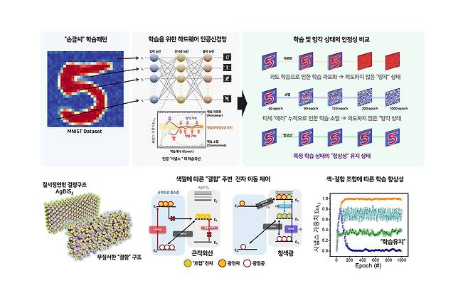 빛의 색으로 ‘외우기’와 ‘잊기’를 조절하는 뇌 모방 광시냅스.[성균관대학교 제공]