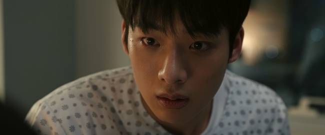 넷플릭스 제공