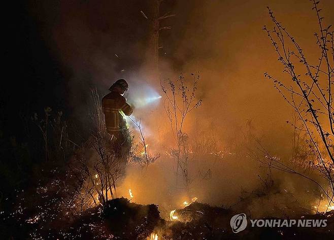 (출처=연합뉴스)