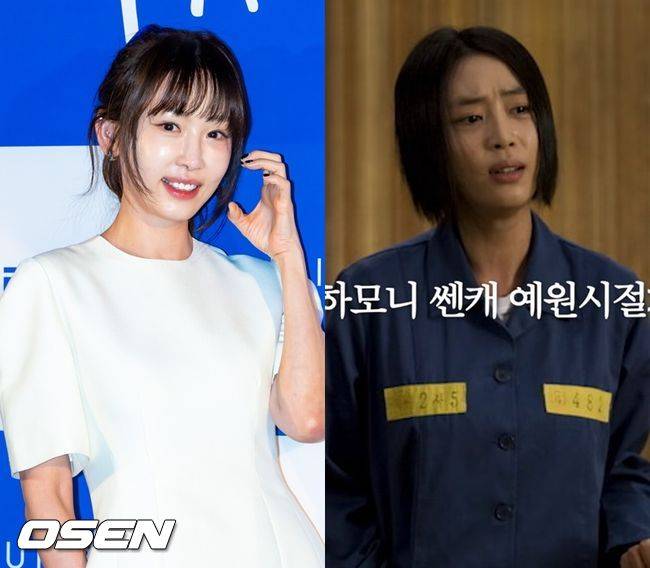 OSEN DB, 유튜브 영상 캡처