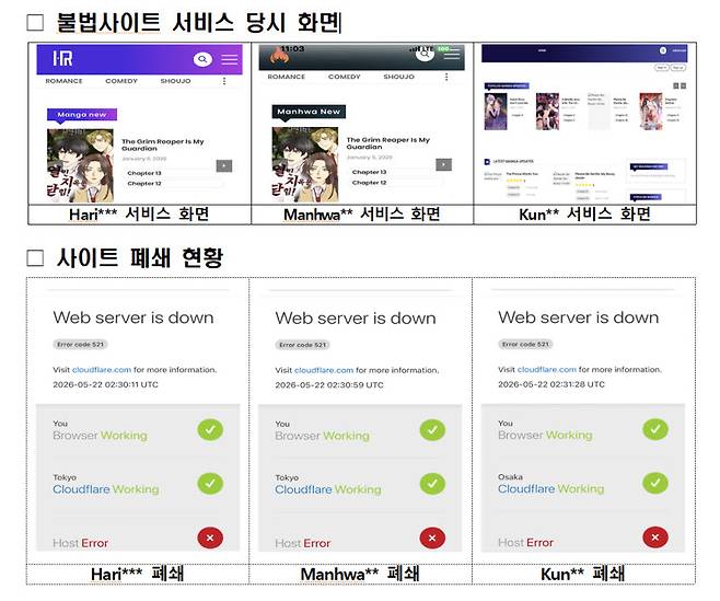 불법사이트 서비스 화면 및 사이트 폐쇄 현황. (사진=문체부)