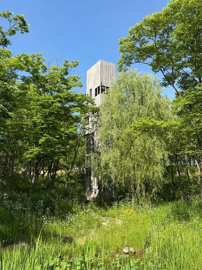 조사 / 사진. ⓒ진세인