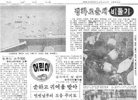 1965년 2월20일자 경향신문에 ‘평화로운 새…비둘기’라는 제목의 기사가 실렸다.