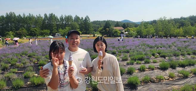 ▲ ▲ 라벤더 아이스크림을 든 한 가족이 단란한 시간을 보내며 포즈를 취했다. 김주현 기자