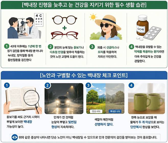 [자료:서울성모병원 안과 정소향 교수]