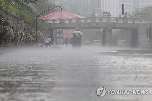 쏟아지는 비 [연합뉴스 제공]