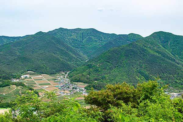 오정산 골짜기에 김씨의 아버지가 운영했던 광산 터가 보인다.