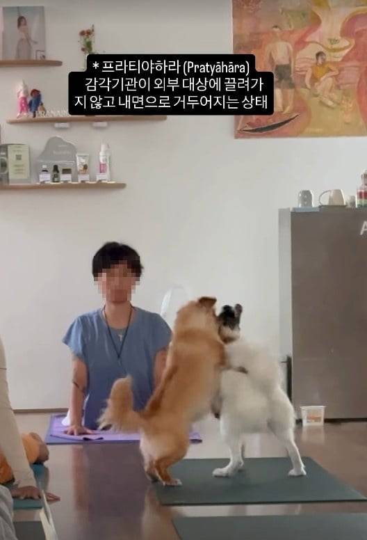 사진=이효리 요가원 SNS