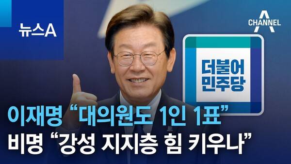 이재명 "대의원도 1인 1표"…비명 "강성 지지층 힘 키우나" 출처 - 뉴스A
