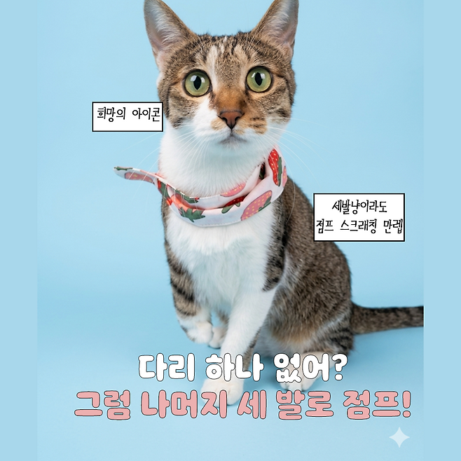 동그람이, 보호자 제공