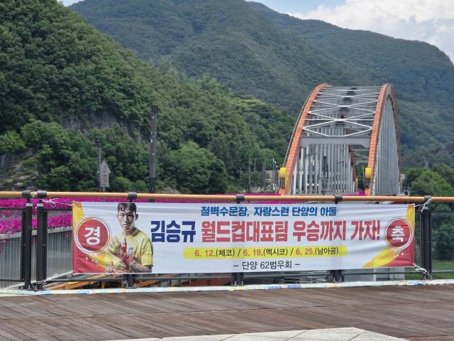 단양읍 고수대교에 김승규 선수 응원 현수막이 게시, 단양 시내가 온통 월드컵 응원 열기로 물들었다.단양=이상복 기자
