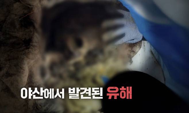 '그것이알고싶다'&nbsp;