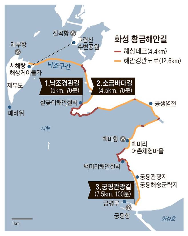 그래픽=송윤혜