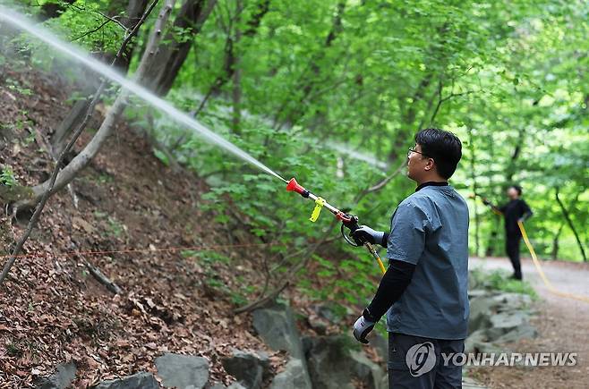 여름 불청객 '러브버그' 방제 (서울=연합뉴스) 김주형 기자 = 서울시와 노원구, 삼육대학교 관계자들이 7일 서울 노원구 불암산 일대에서 붉은등우단털파리(러브버그) 방제를 위한 유충구제제를 살포한 뒤 물을 뿌리고 있다. 2026.5.7 kjhpress@yna.co.kr