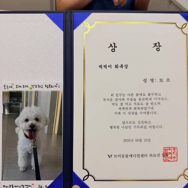 Actor Jin Tae-hyun shared his deep affection for his pet, Thor, who is being discharged from the hospital following major surgery, through his social media. Jin Tae-hyun emphasized the preciousness of Thor as family by sharing photos taken with him and a handmade Brave Recovery Award.Jin Tae-hyun mentioned that Thor, now 12 years old, is a true family member who has been with him since his wedding preparation days, and he vowed to live with even more love as he gets older. Mentioning the finiteness of life, he added his sincere thoughts on life: to work hard and live with love.Previously, Jin Tae-hyun had caused concern among fans by announcing Thors surgery, but he brought a sense of relief by sharing news of Thors recovery and his discharge from the hospital. Jin Tae-hyun married actress Park Si-eun in 2015 and has been living with his pets.
