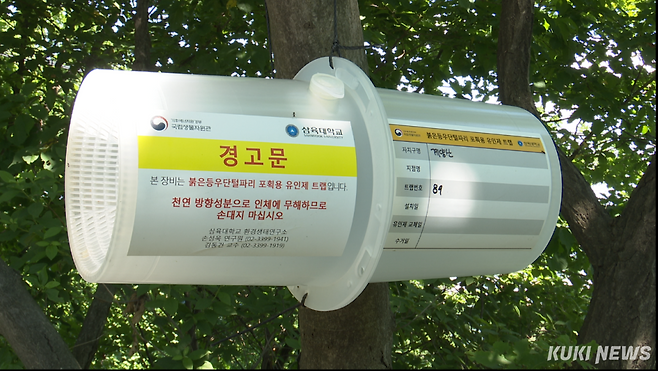 23일 인천 계양구 계양산 일대에 붉은등우단털파리(러브버그) 대발생에 대비해 친환경 방제 장비들이 가동되고 있다. 김재형 영상기자