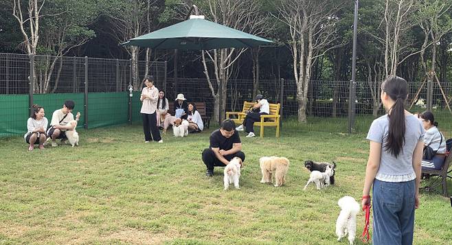 소형견부터 대형견까지 다양한 종의 반려견들이 광주광역시 서구 풍암체육공원 옆 반려견 공공 놀이터에서 뛰어놀고 있다. / 독자 제공