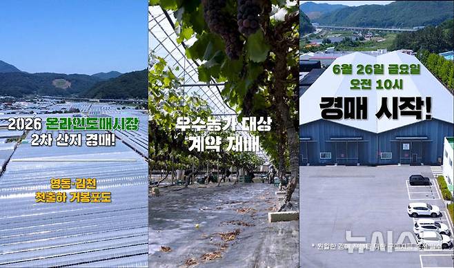 농수산물 온라인도매시장 경매 홍보자료 . (이미지=aT 제공) photo@newsis.com *재판매 및 DB 금지
