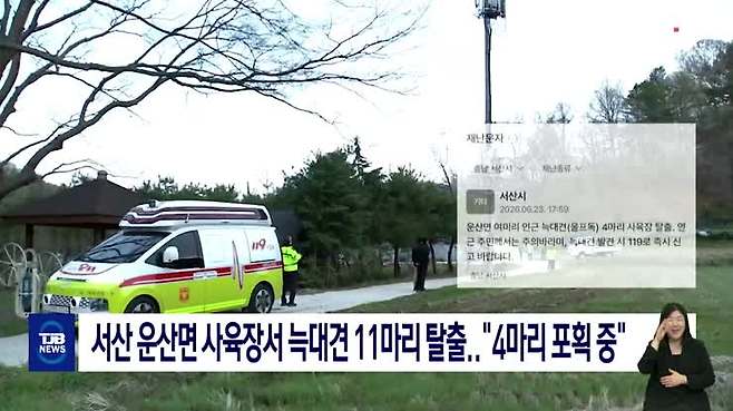 서산 운산면 사육장서 늑대견 11마리 탈출.."4마리 포획 중"