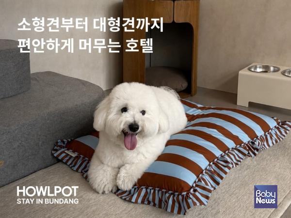 하울팟, 프리미엄 반려견 호텔 '하울팟 스테이 in 분당' 오픈.&nbsp;ⓒ하울팟