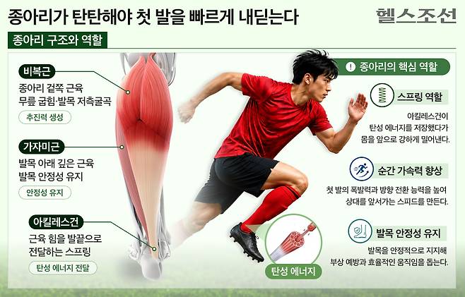 그래픽=김경아