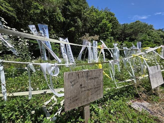 지난 27일 대전 골령골에 핀 개망초 꽃이 사이에 놓인 만장들이 바람에 나부끼고 있다. 최예린 기자