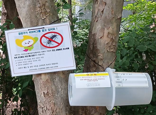 러브버그 친환경 유인물질 포집기. [금천구 제공]