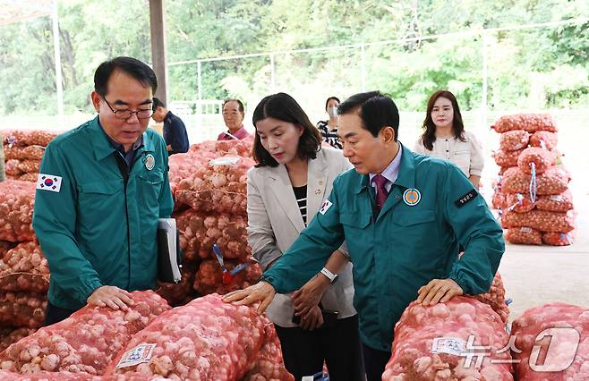 성낙인 창녕군수가 3일 햇마늘 경매가 시작된 창녕농협 농산물 공판장을 찾아 경매 현장을 둘러보고 있다.(창녕군 제공. 재판매 및 DB금지)