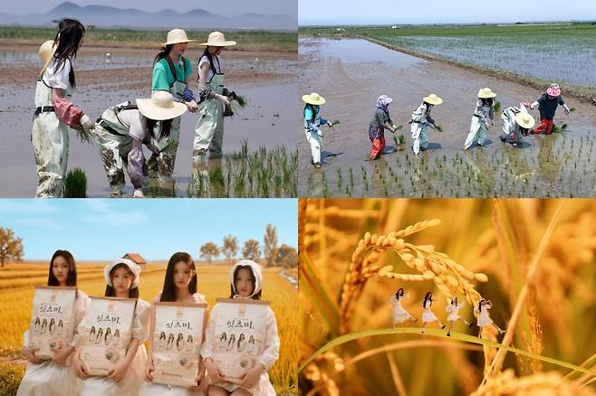 사진=농협경제지주, 빌리프랩