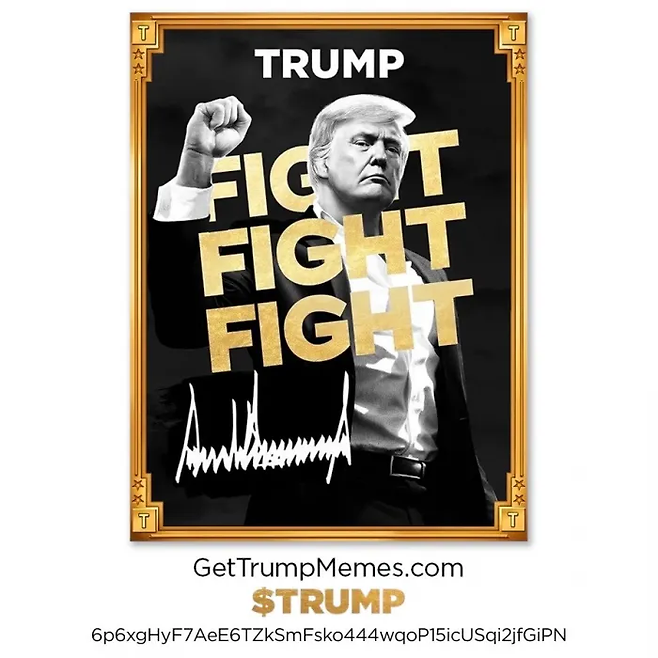 도널드 트럼프 대통령이 지난해 1월 자신이 만든 밈코인 $TRUMP 투자를 촉구하기 위해 소셜미디어에 올린 사진. 엑스 갈무리