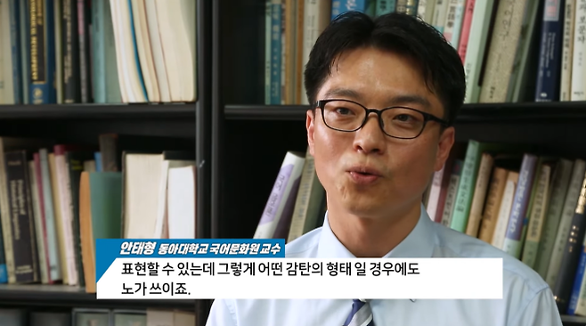 언어학자인 안태형 동아대 기초교양대학 교수가 동남방언에서 ‘노’가 의문형뿐 아니라 감탄형으로도 쓰인다고 설명하고 있다. 유튜브 채널 ‘헬로tv뉴스’ 캡처