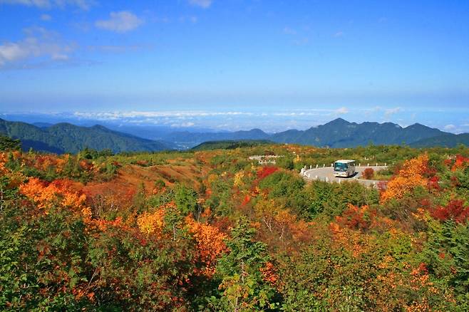 화려한 단풍으로 유명한 일본 북알프스.