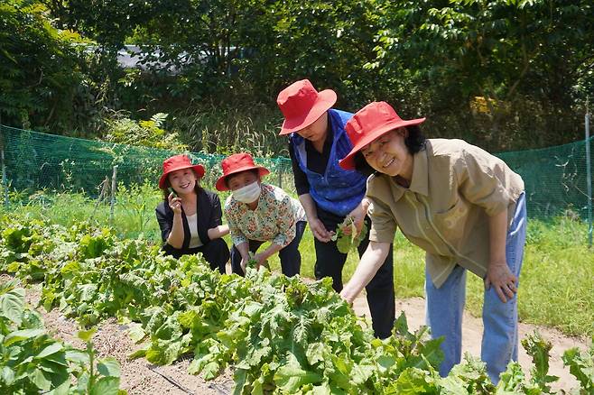 정진아 샬롬기억돌봄학교 원장(맨 왼쪽)이 어르신들과 텃밭에서 작물을 수확하고 있다.