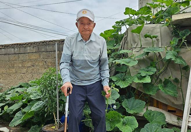 101세 어르신 이인식씨는 지난 5월 직장암 수술을 받고 회복했다. 수술 전과 다름없이 지팡이를 짚고 집 마당을 걷고 있다. 사진 이인식씨 가족