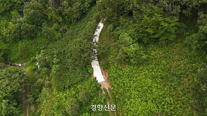 지난달 30일 전남 광양시 옥곡면에 있는 한 농장의 작업로가 포장된 모습이 보인다. 광양|권도현 기자